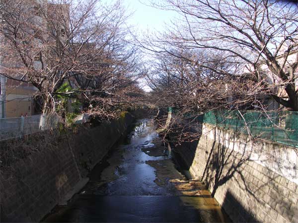 麻生川3月20日-1