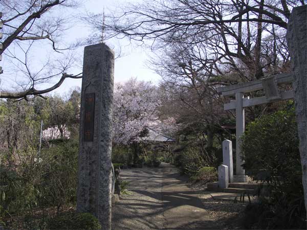 番外　浄慶寺　3月25日-1