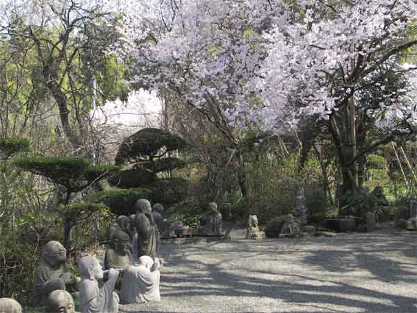 番外　浄慶寺　3月25日-3