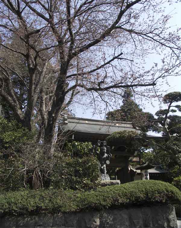 番外　高蔵寺　3月25日-1