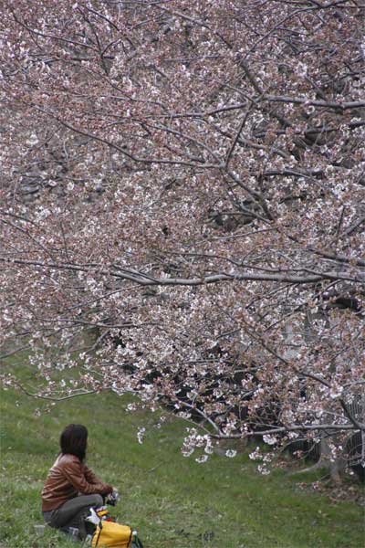 狛江市・西河原公園3月26日-7