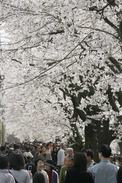 麻生川4月1日-04