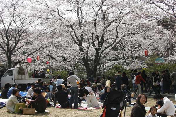 麻生川4月1日-10