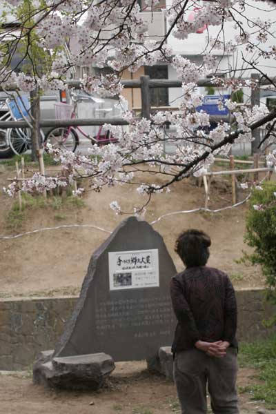 多摩区宿河原・二ヶ領用水さくら祭り4月2日-09