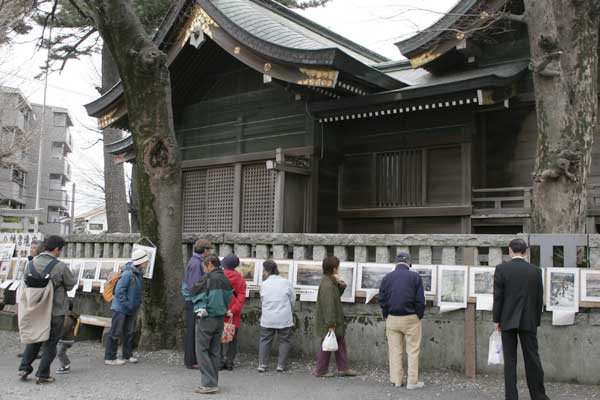 多摩区宿河原・二ヶ領用水さくら祭り4月2日-16