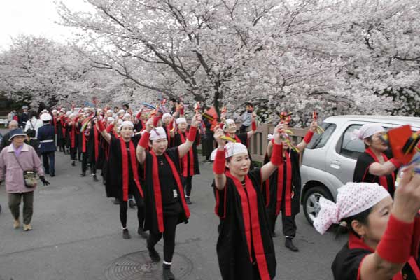 多摩区宿河原・二ヶ領用水さくら祭り4月2日-28