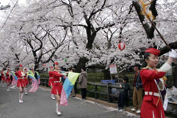 多摩区宿河原・二ヶ領用水さくら祭り4月2日-30