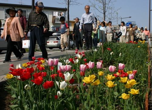 花と彫刻の道08