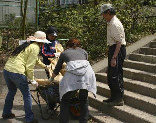 犬蔵小学校30周年記念の植樹05