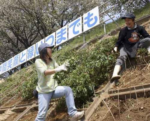 犬蔵小学校30周年記念の植樹06