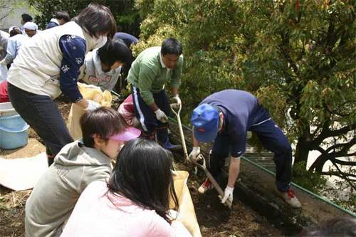 犬蔵小学校30周年記念の植樹08