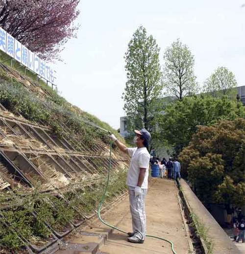 犬蔵小学校30周年記念の植樹10